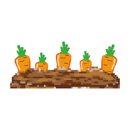 pixelated healthy carrot fresh vegetable cultivated vector illustrationのイラスト素材