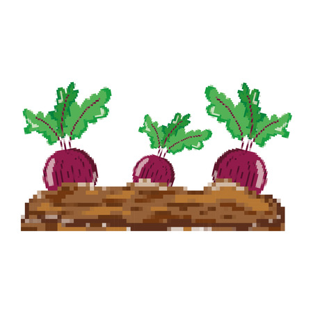 pixelated healthy onion fresh vegetable cultivated vector illustrationのイラスト素材