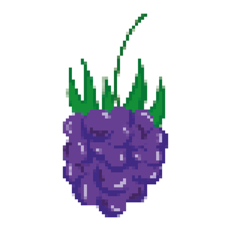 pixelated delicious grapes fresh fruit nutrition vector illustrationのイラスト素材