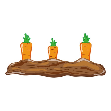 healthy carrot fresh vegetable cultivated vector illustrationのイラスト素材