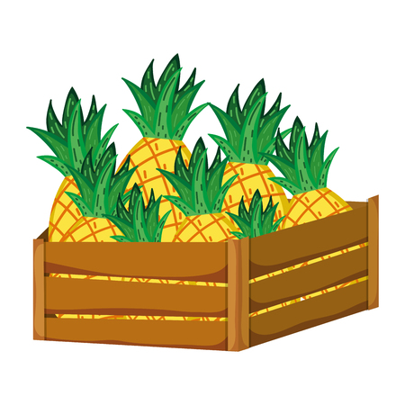 delicious pineapples fruits inside wood basket vector illustrationのイラスト素材
