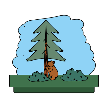 color bear clombing pine tree in the forest vector illustrationのイラスト素材