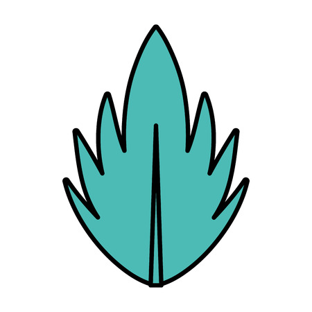 color beauty exotic leaf with nature style vector illustrationのイラスト素材