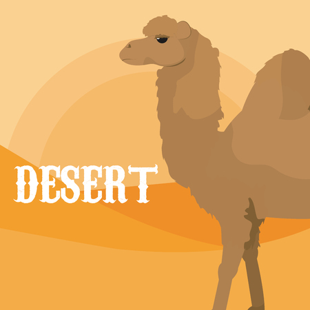 Desert animal cartoonのイラスト素材