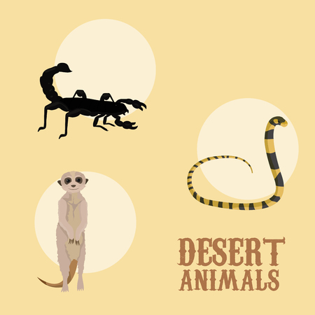 Desert animals cartoonのイラスト素材