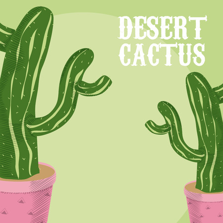 Desert cactus plantのイラスト素材