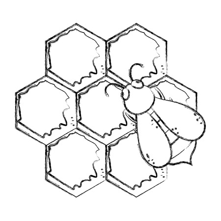 grunge cute bee insect with delicious honey vector illustrationのイラスト素材