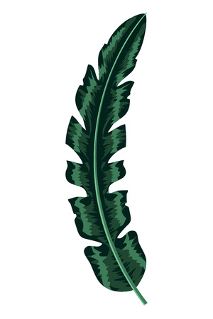 nice exotic leaf nature branch vector illustrationのイラスト素材