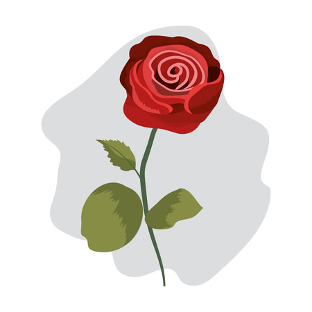 tropical rose plant with exotic leaves vector illustrationのイラスト素材