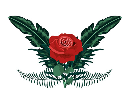 tropical rose with leaves and exotic branches vector illustrationのイラスト素材