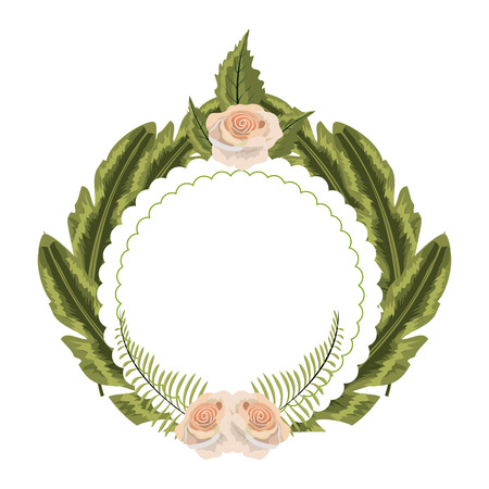 cute exotic roses with leaves and branches vector illustrationのイラスト素材