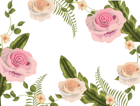 exotic roses with natural petals and leaves vector illustrationのイラスト素材