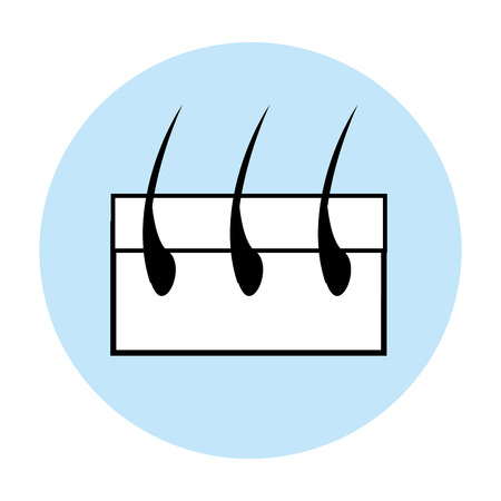 Capillary hair symbolの写真素材