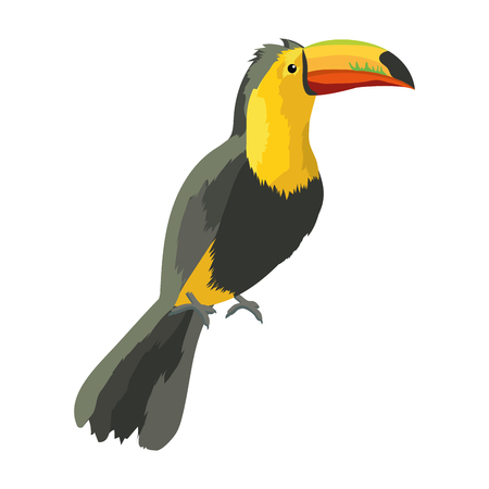Tucan Exotic and tropical birdのイラスト素材