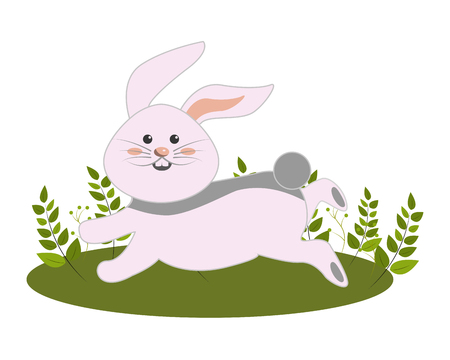 Rabbit cartoon, Concept of Pet animal domestic farm care and fun Vector illustrationのイラスト素材