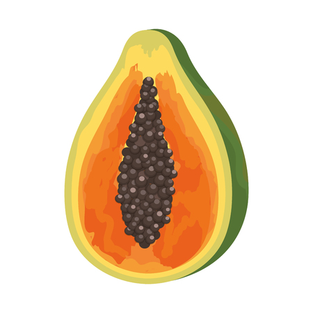 tropical fruit papaya cartoon vector illustration graphic designのイラスト素材