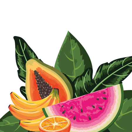 tropical fruits watermelon with orange and bananas with papaya cartoon vector illustration graphic designのイラスト素材