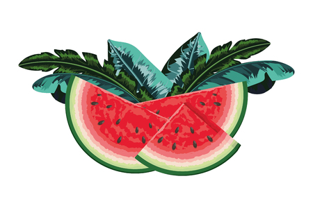tropical fruit watermelon cartoon vector illustration graphic designのイラスト素材