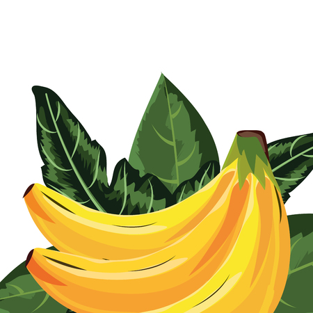 tropical fruit banana cartoon vector illustration graphic designのイラスト素材