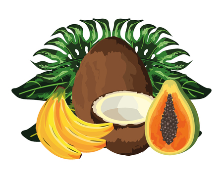 tropical fruit cartoon vector illustration graphic designのイラスト素材
