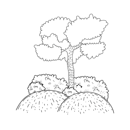 tree forest landscape scene vector illustration designのイラスト素材