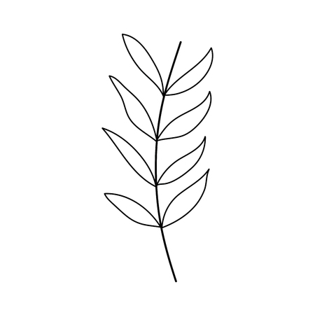 branch with leafs plant vector illustration designのイラスト素材