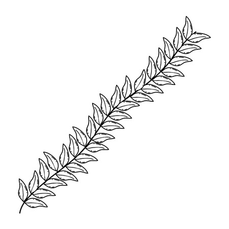 branch with leafs plant vector illustration designのイラスト素材