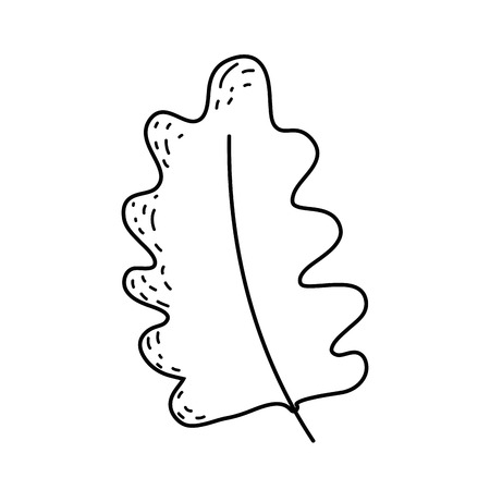 leaf plant isolated icon vector illustration designのイラスト素材