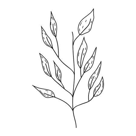 branch with leafs plant vector illustration designのイラスト素材