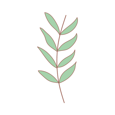 branch with leafs plant vector illustration designのイラスト素材