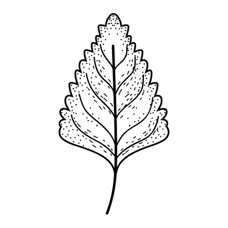 leaf dry isolated icon vector illustration designのイラスト素材