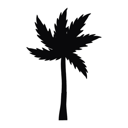palm tree cartoon vector illustration graphic designのイラスト素材