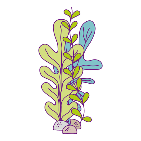seaweed underwater nature icon vector illustration designのイラスト素材