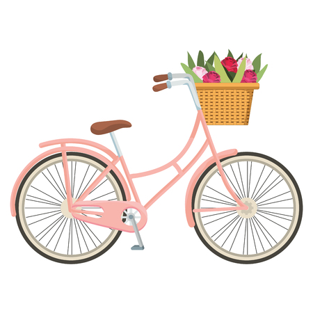 cute bicycle and basket with flowers cartoon vector illustration graphic design