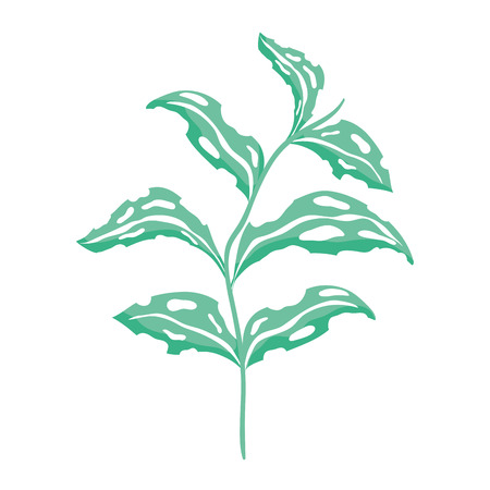 branch with leafs plant vector illustration designのイラスト素材