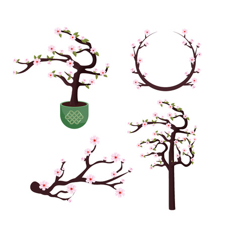 set cherry blossom flowers with branches and stalk vector illustrationのイラスト素材