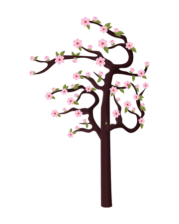 cherry blossom tree vector illustration graphic designのイラスト素材