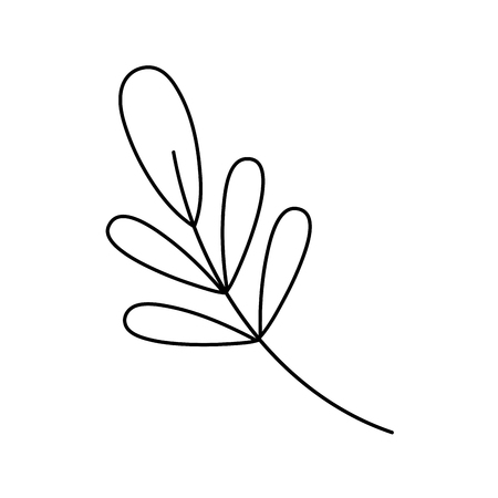 branch with leafs plant vector illustration designのイラスト素材