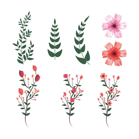 set tropical flowers with exotic branches leaves plantsのイラスト素材