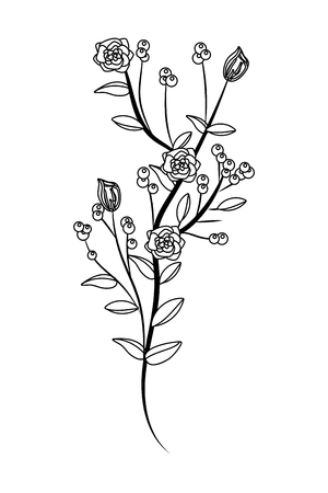 roses branches icon vector illustration graphic designのイラスト素材