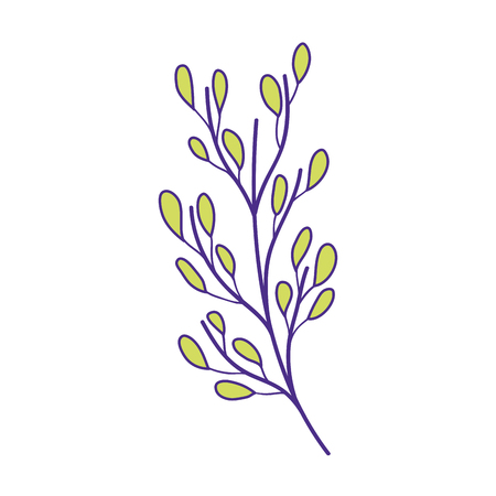 branch with leafs plant vector illustration designのイラスト素材