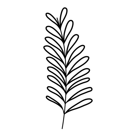 branch with leafs plant vector illustration designのイラスト素材