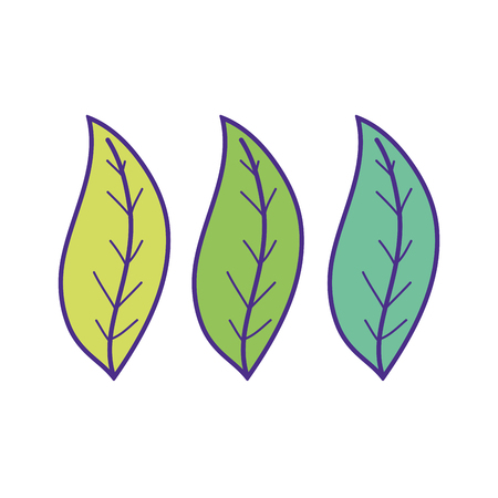 ecology leafs plants icons vector illustration designのイラスト素材