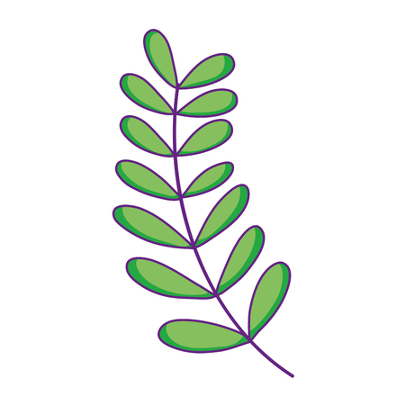 branch with leafs plant vector illustration designのイラスト素材
