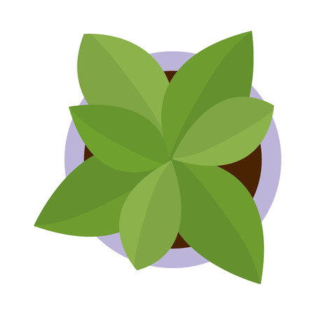 plant pot cartoon vector illustration graphic designのイラスト素材