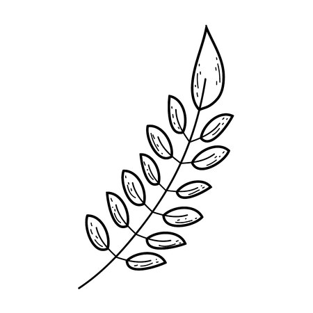 branch with leafs plant vector illustration designのイラスト素材