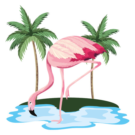 tropical flamingo at jungle lake cartoon vector illustration graphic designのイラスト素材