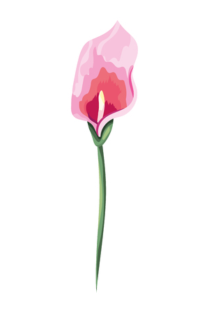 beautiful flower cartoon vector illustration graphic designのイラスト素材