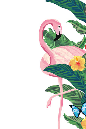 tropical flamingo cartoon vector illustration graphic designのイラスト素材