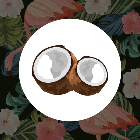 tropical coconut cartoon vector illustration graphic designのイラスト素材